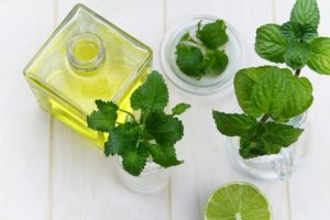 Use peppermint oil