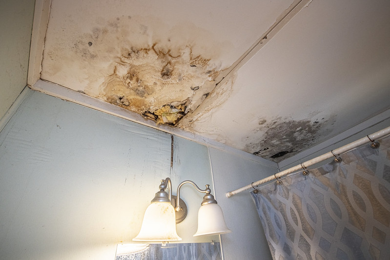 How to Clean Mold From Your Bathroom Ceiling